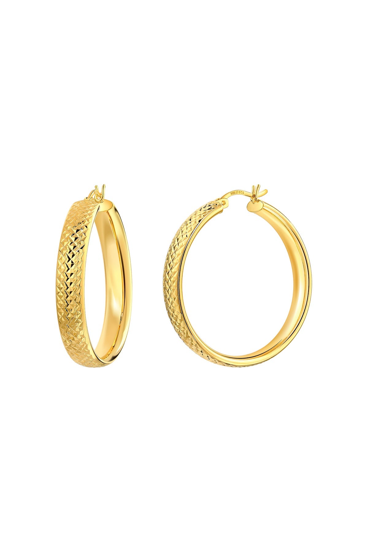 Radiant Rhapsody Hoop Earrings